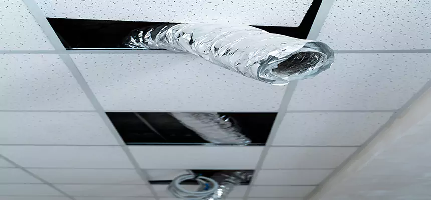 Our Air Duct Pet Hair Removal Services in Addison, IL