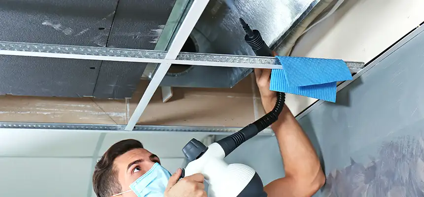 Our Air Duct Rodent Removal Services in Addison, IL