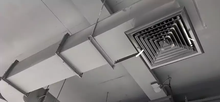 Restorative Allergy Relief Vent Cleaning – Coil, Blower & Housing Detail in Addison