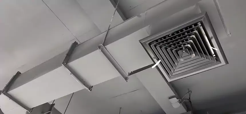 Our Pest Removal From Ducts Services in Addison, IL