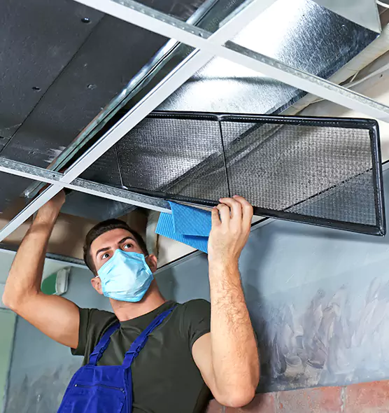 About Air Duct Bacteria Removal in Addison