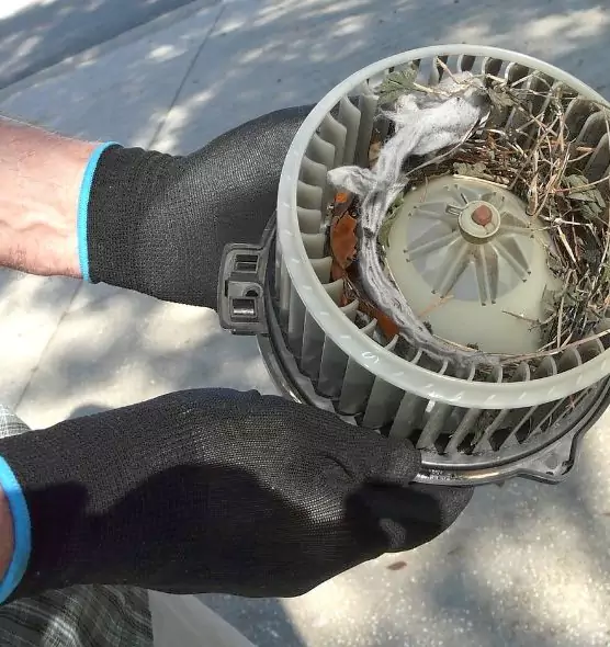 About Air Duct Mice Removal in Addison, IL