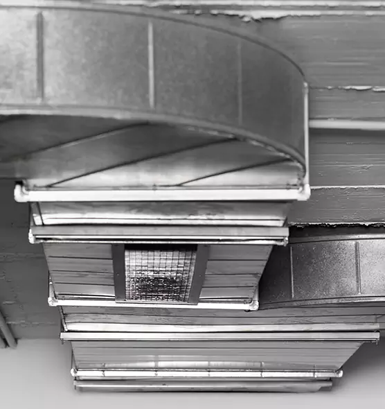 Professional Air Duct Pest Removal in Addison, IL